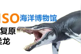 1亿年前的海洋霸主长啥样？PNSO克柔龙模型开箱评测！视频封面