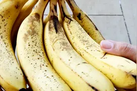 你还在吃发黑的香蕉吗？它到底还能不能吃，看完恍然大悟视频封面