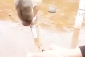 老鼠被绑在男子烟花上，直接点火发射，镜头记录全过程视频封面