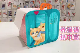 自制养猫咪纸巾盒，桌面抽纸盒制作，有趣又开心视频封面