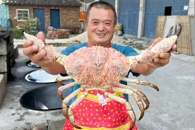 阿胖山海鲜档口捡漏，2880买只皇帝蟹，比脸还大蟹钳有手臂粗