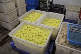 深圳全力保障供港生鲜通关 物资供应全链条平稳有序视频封面