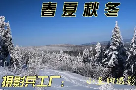 春夏秋冬一年四季的光线解读，拍摄出最好看的季节照片视频封面