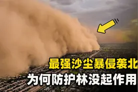 北方遭最强沙尘暴，防护林没起作用？专家：沙尘暴新的活跃期将来视频封面