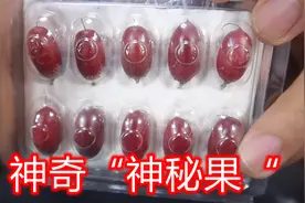 据说吃了这个神秘果，吃什么东西都是甜味，喝白酒都是果酒味！视频封面