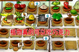 植物大战僵尸164：当智慧树长到100英尺的时候，僵尸会留下小菊花