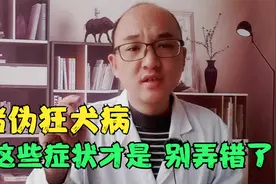 猪伪狂犬病，不同体重猪的症状不一样，养猪人别弄错了视频封面