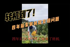 四年前朱舅舅就发现了林生斌的问题四年后迎来转机视频封面