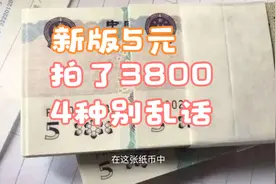 拍了3800多，有4种新版5元纸币别乱花了，你能找到吗视频封面