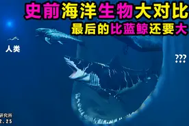 有巨物恐惧症的别看，史前海洋生物体型大对比，最后的太巨大了视频封面