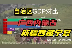 自治区GDP对比1952-2021，广西老表终于拔得头筹，增长约2100倍！视频封面