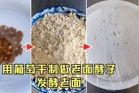 自制酵母不用任何发酵助剂做老面引子，老面酵子的制作方法视频封面