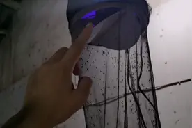 夏天兔场蚊子越来越多，露妈4种驱蚊方法效果介绍！视频封面