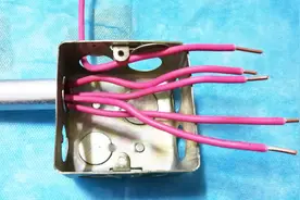 线管里5根线都是红色，怎么快速区分火零地？老电工一招就解决了