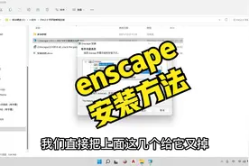 enscape 安装方法