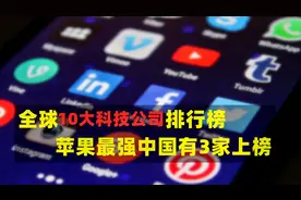 全球10大科技公司股票排行榜，苹果最强中国有3家上榜，统计到8月视频封面
