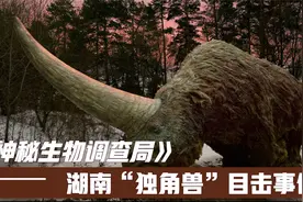 第6期 史前巨犀？揭秘壶瓶山“兕（sì）”目击事件视频封面