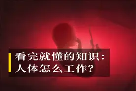 看完就懂的知识：人体怎么工作