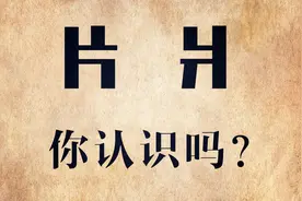 说文解字：“片”和“爿”你认识吗？笔顺很少有人写对！视频封面