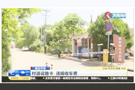 此路是你开？公共村道设立路卡，光明正大对过路车辆收取停车费视频封面