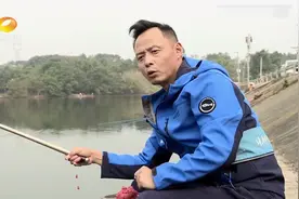 逗钓有哪些小技巧？浮漂晃动饵料轻晃，想不到对鱼的诱惑这么大