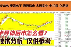 三安光电 康强电子 捷捷微电 太极实业 士兰微 立昂微 半导体分析视频封面
