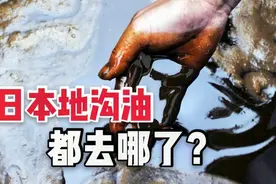 为啥在日本见不到地沟油？小商小贩都不敢去收购？日本做法真绝