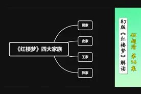 《红楼梦》贾史王薛金陵四大家族，贾家宁国府人物关系解析视频封面