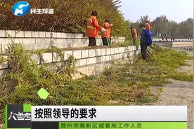 “恶魔”一枝黄花出现在郑州，竟是人工种植？视频封面