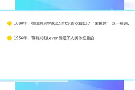 医学遗传学-染色体遗传-7.1 染色质和染色体概述视频封面