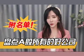 盘点A股所有的好公司【附名单】视频封面