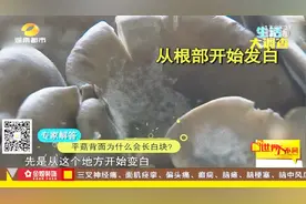 蘑菇买回家背面长白块？都是保存方式搞的鬼，那到底能不能食用？