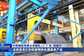 中钢：加快传统产业升级改造 锻造高质量发展新引擎视频封面