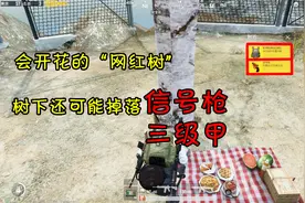 刺激战场：这5个地方有“樱花树”，给它浇水还可能掉落信号枪