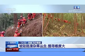 扩大范围冒雨搜救 重点搜寻第二个黑匣子 携热成像仪寻找生命迹象视频封面