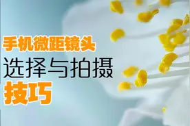 怎么选择手机微距镜头？专业摄影师再告诉你微距拍摄的技巧视频封面