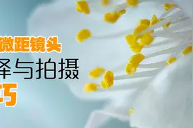怎么选择手机微距镜头？专业摄影师再告诉你微距拍摄的技巧视频封面