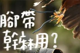 老鹰为什么要绑住?驯鹰脚绳的作用是什么? | 波氏家族 popofamily