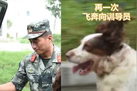 泪目！退役警犬离开中队时突然跳车飞奔 只为训导员最后一个拥抱视频封面