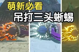 王国之泪：前期获取最强材料，最详细的三头龙教程，全部14只位置