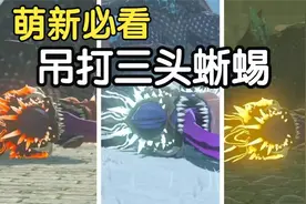 王国之泪：前期获取最强材料，最详细的三头龙教程，全部14只位置