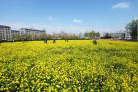 美丽校园巡礼之河北篇：河北科技大学视频封面