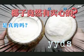 【科普】你见过实心的椰子吗？椰子为什么把自己进化的这么好喝？视频封面