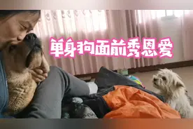 在单身狗面前这样秀恩爱，是不是有点过分了