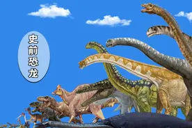 如果把史前恐龙做一个对比，你会发现什么？谁才是最大的？