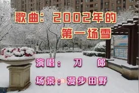 刀郎一首《2002年的第一场雪》，当年火遍全国，至今仍是满满回忆视频封面