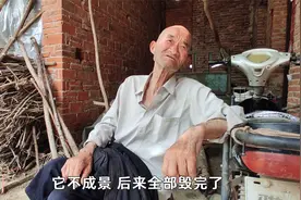 河南农村大爷讲述种苹果经历，只结果两年就干枯了！到底咋回事？视频封面