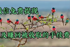 微信免费提现,及赚回被收取的手续费视频封面