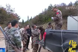 太难了！通江20000头野猪泛滥成灾，专业队伍2天半捕8头|新闻1+1视频封面
