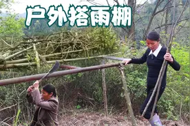 大姐在菜地里搭建雨棚，简单的雨棚作用之大，大家都看看有什么用视频封面